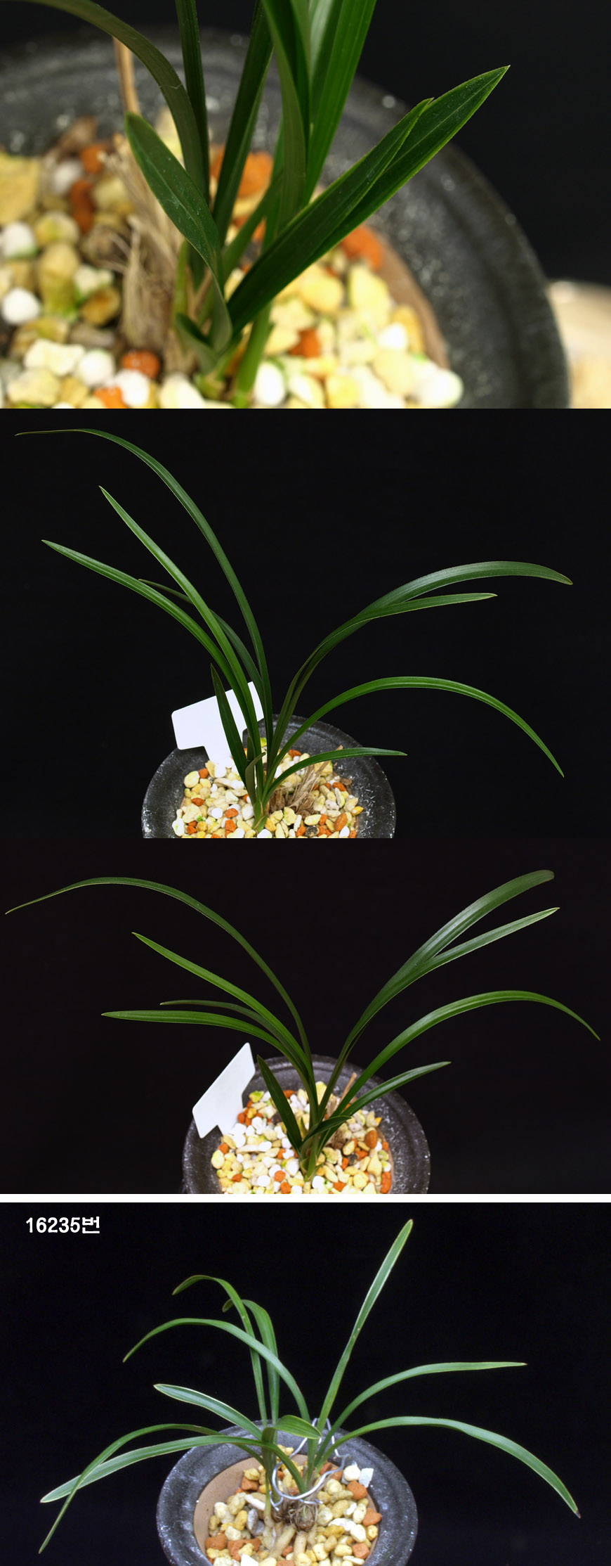  ū   ֽϴ.