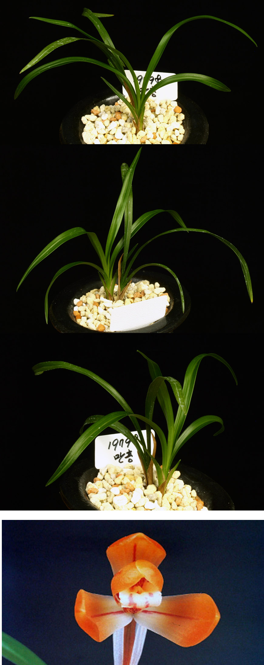  ū   ֽϴ.