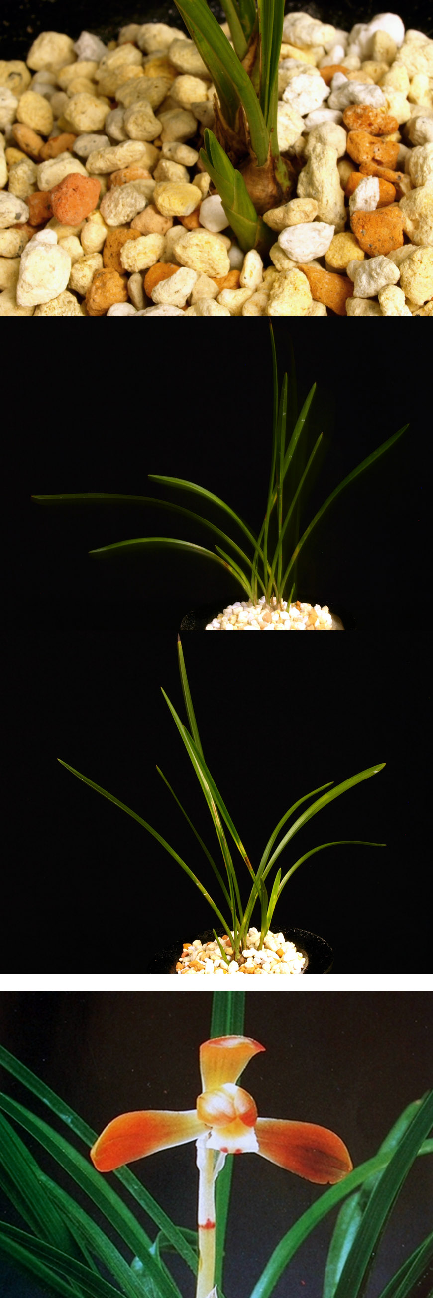  ū   ֽϴ.