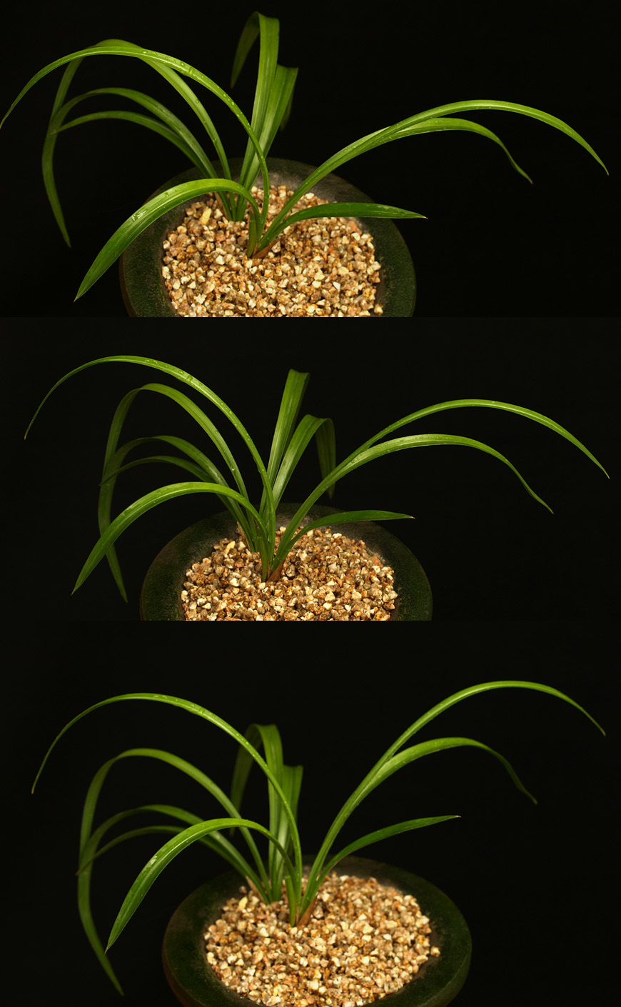  ū   ֽϴ.
